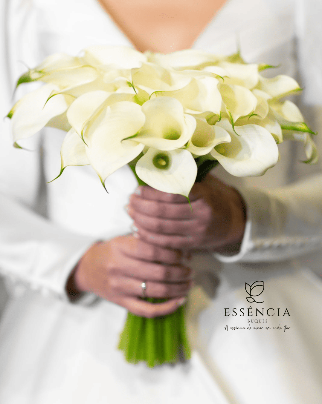 Buquê de Callas Brancas em formato circular sem folhagem e com fita decorativa, ideal para casamento religioso.