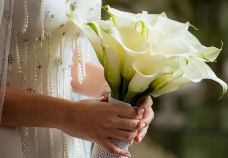 Buquê de Callas Brancas em formato circular sem folhagem e com fita decorativa, ideal para casamento religioso.